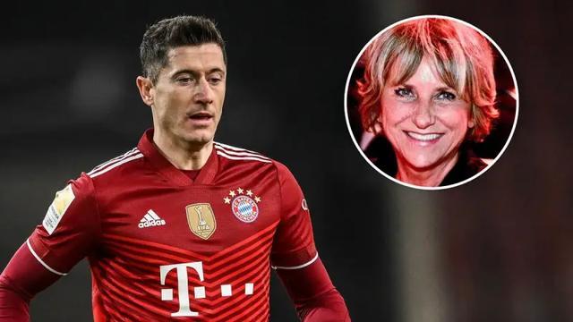 比赛概况 比赛概况